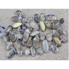 Крихта лабрадор ~4-6*10-17 мм довжина 39 см